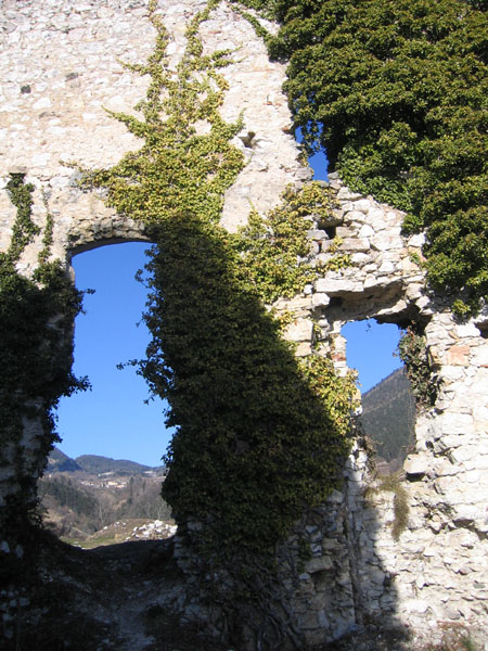 Castelli,Torri e Palazzi.....del Trentino